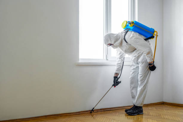 Best Emergency Pest Control  in Minoa, NY